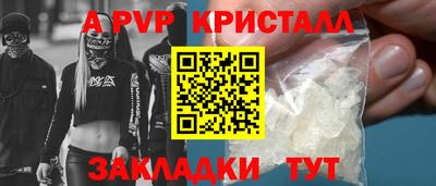 spice Кингисепп