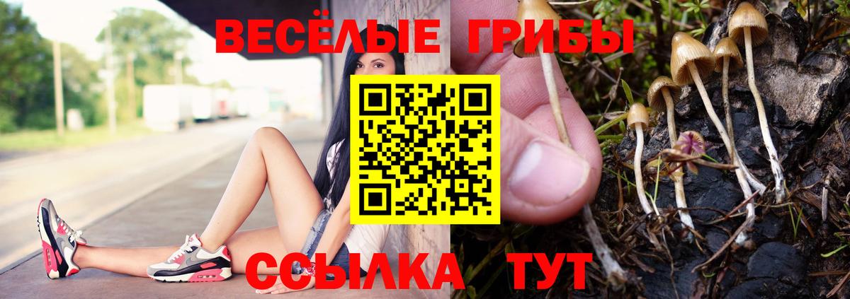 Киров  Галлюциногенные грибы GOLDEN TEACHER  Вход с VPN  что такое   Галлюциногенные грибы ЛСД 